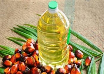 Exports of vegetable oils from Kazakhstan to Europe double in 2022