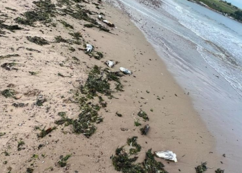 A forthcoming agreement between Japan and Saudi Arabia on “rare earth metals”