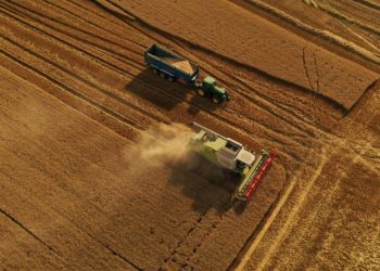 Asian mills looking for alternatives to Ukrainian wheat