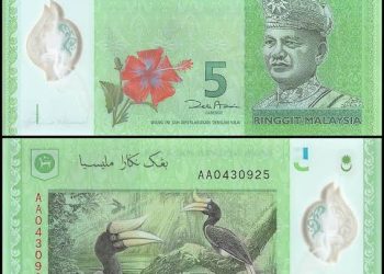 The Malaysian central bank: the local currency is undervalued