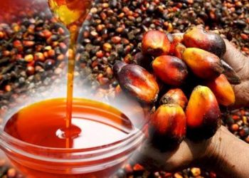 Malaysia keeps crude palm oil prices at 8% for August
