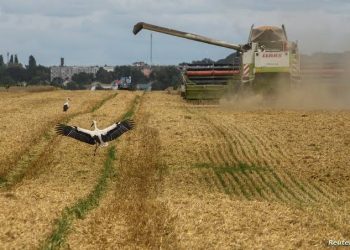 Kazakhstan exports 11 million tons during the current season