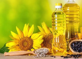 Sunflower oil production covers the needs of the domestic market by 31% in Kazakhstan