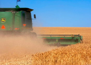 Kazakhstan harvests 2.8 million tons of grain during the current season