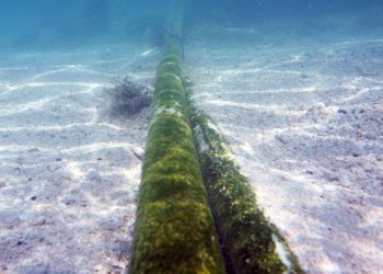 The fact of the internet outage on October 11 is a complete outage all over the world