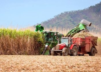 Thailand says sugar crop affected by drought