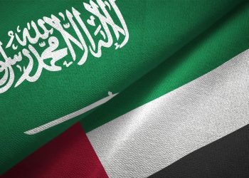 Trade between UAE and Saudi Arabia reaches $159 billion in 5 years