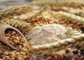Flour prices rise sharply in Kazakhstan