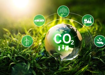 Dubai Financial Market launches pilot for carbon credits trading at COP28