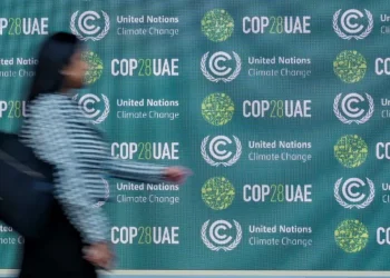 Climate Summit: Carbon trade market at the forefront of COP28