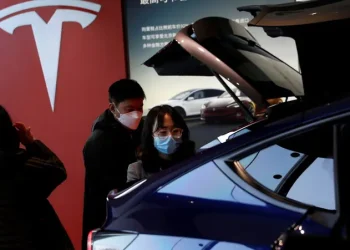 Tesla’s New Car, Redwood, to Compete in the Budget Vehicle Category