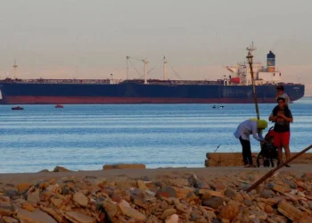 China Keeps Close Eye on Red Sea Developments, Offers Trade Support