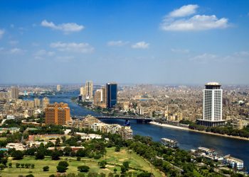 Minister of Supply Reveals Egypt's Wheat, Oil, and Sugar Reserves