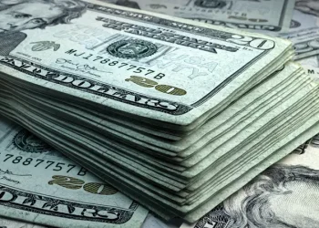 Dollar Struggles to Hold onto Gains Ahead of Central Bank Meetings