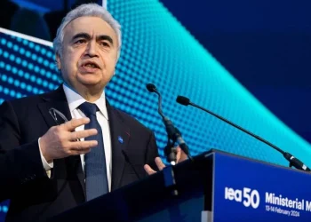 International Energy Agency Predicts Comfortable Oil Markets and Moderate Prices in 2024