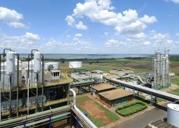 Mubadala Capital to Invest $13.5 Billion in Brazil’s Biofuels Sector: FT Report